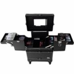 Sorise Professional Case 