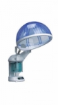 Mini Hair and Facial Steamer