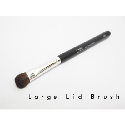 ORIS BR 008 large lid brush   IDR 35,000 depan  large