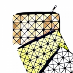 Elegant Cosmetic Pouch